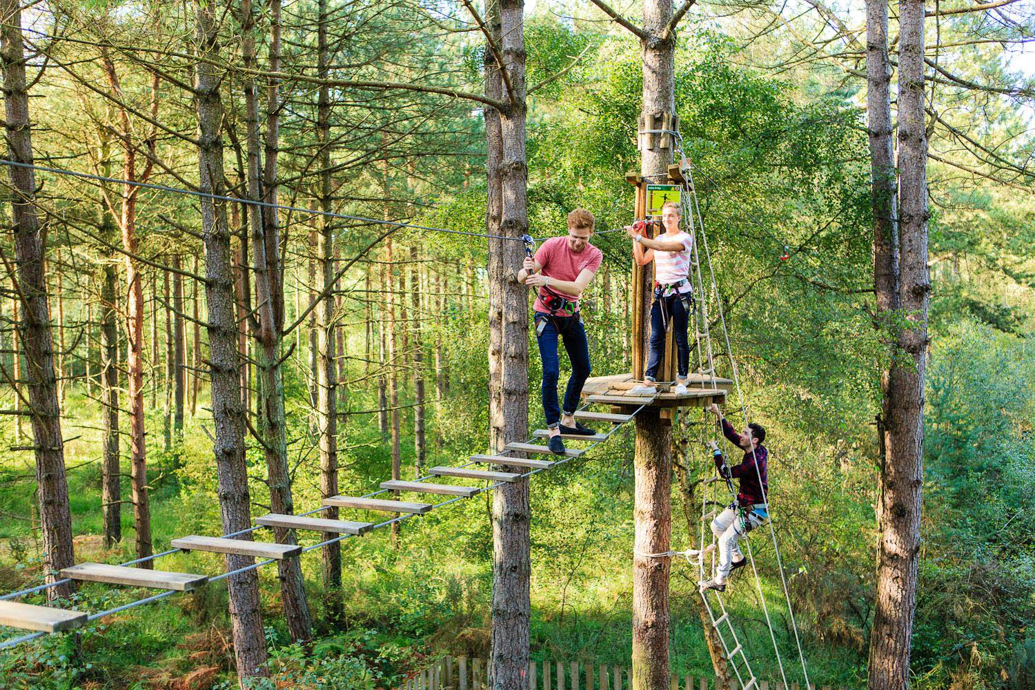 Go Ape Buxton Peak District Holiday Directory